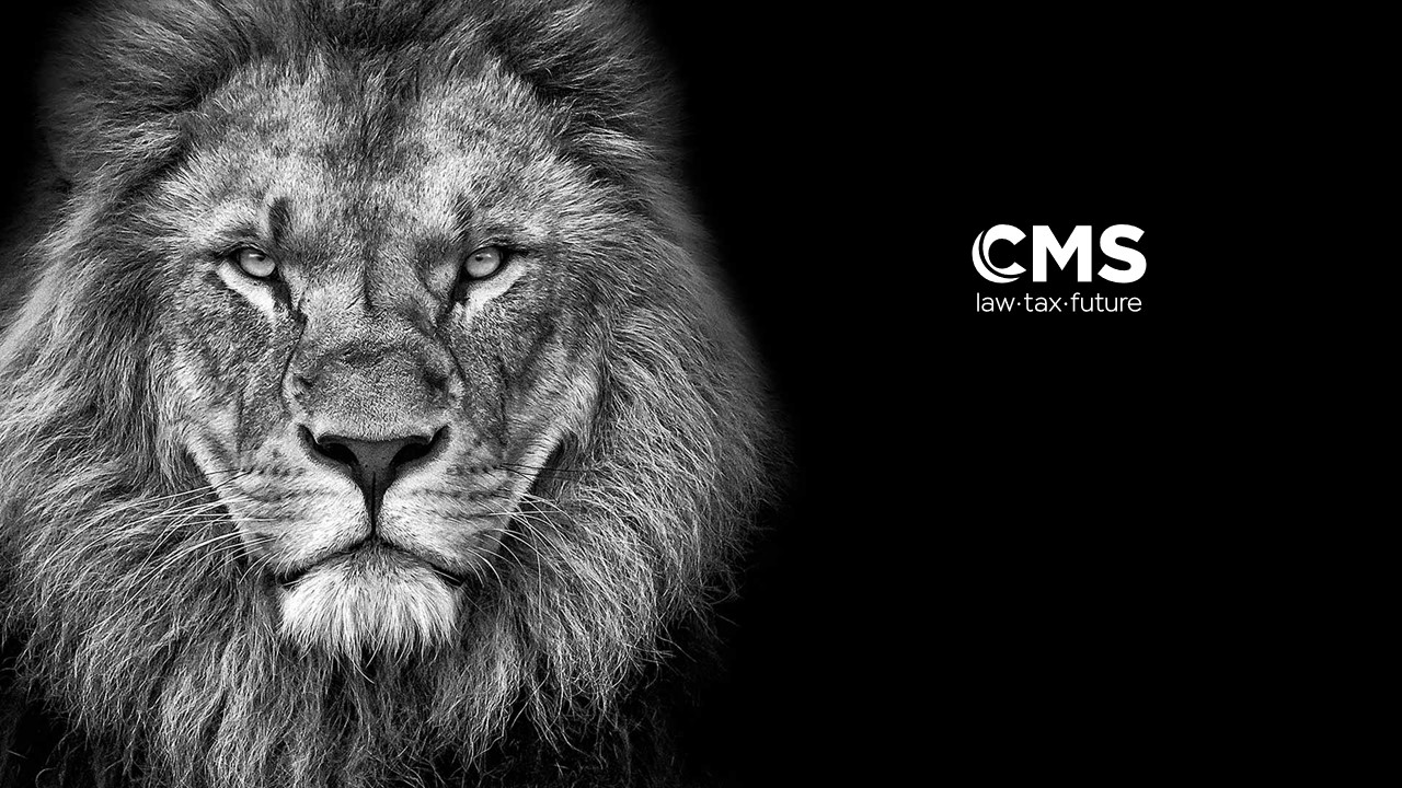 Steve B Graphics Graphic Design - PowerPoint Design