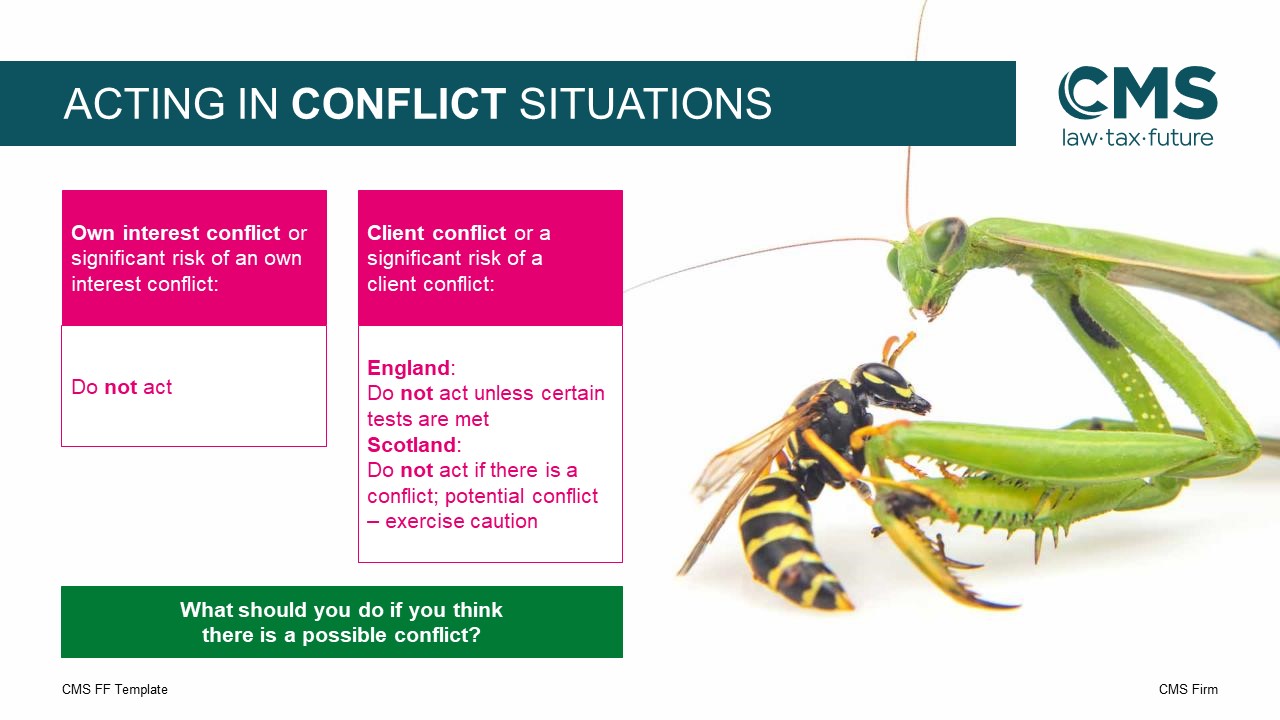 Steve B Graphics Graphic Design - PowerPoint Design