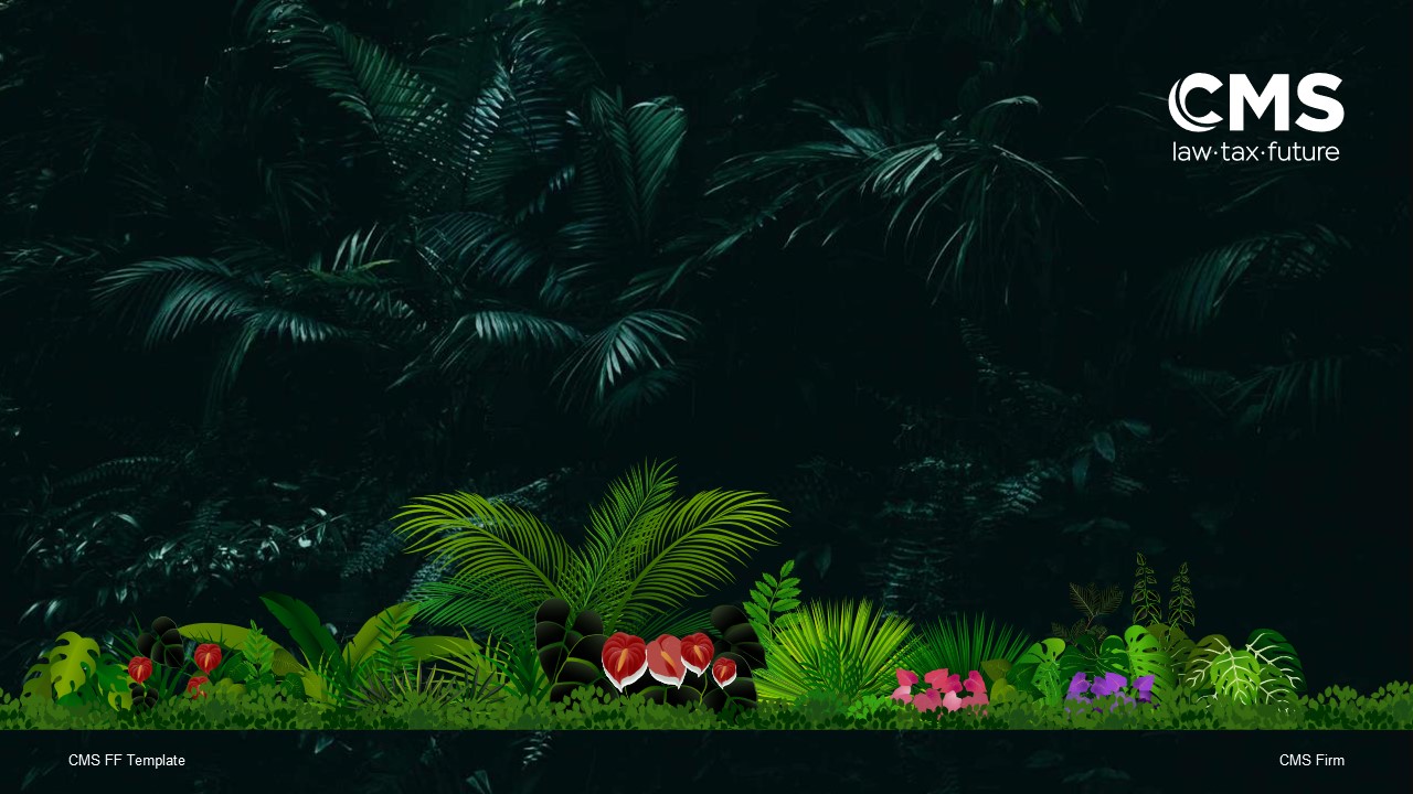 Steve B Graphics Graphic Design - PowerPoint Design