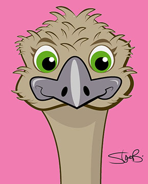 Steve B Graphics Illustration