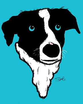 Steve B Graphics Illustration