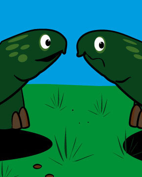 Steve B Graphics Illustration