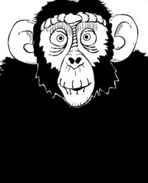 Steve B Graphics Illustration