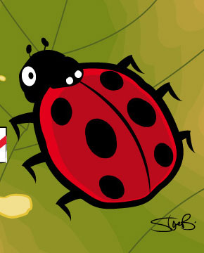 Steve B Graphics Illustration