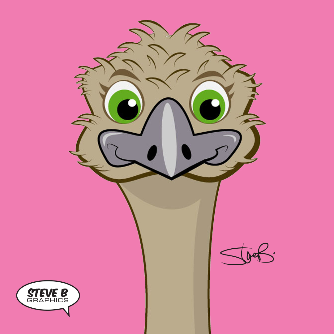 Steve B Graphics Illustration