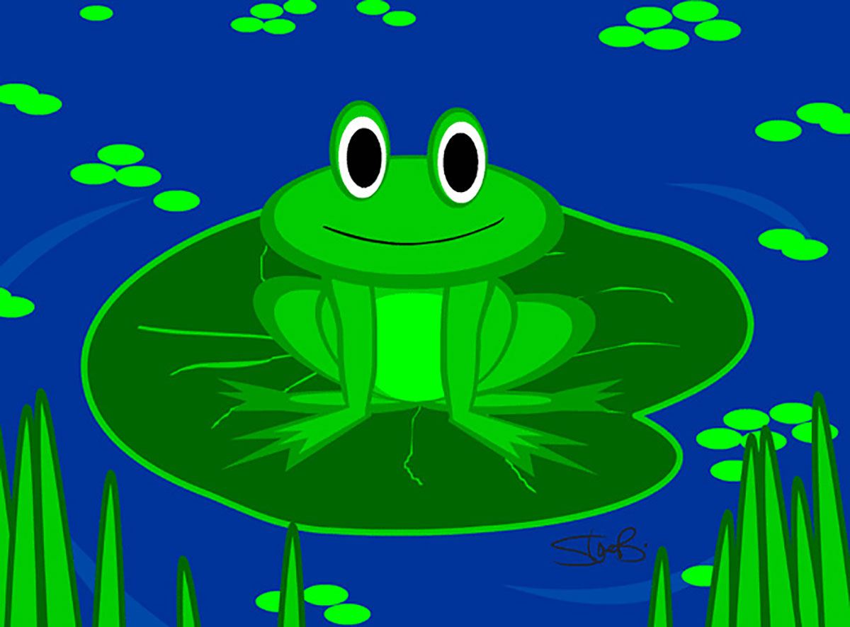 Steve B Graphics Illustration