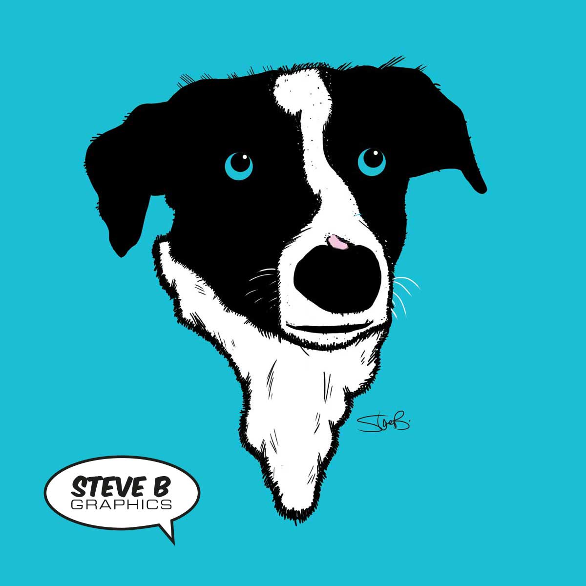 Steve B Graphics Illustration