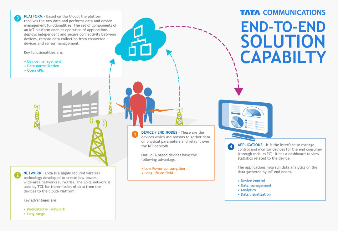 Steve B Graphics Graphic Design - Graphic Design