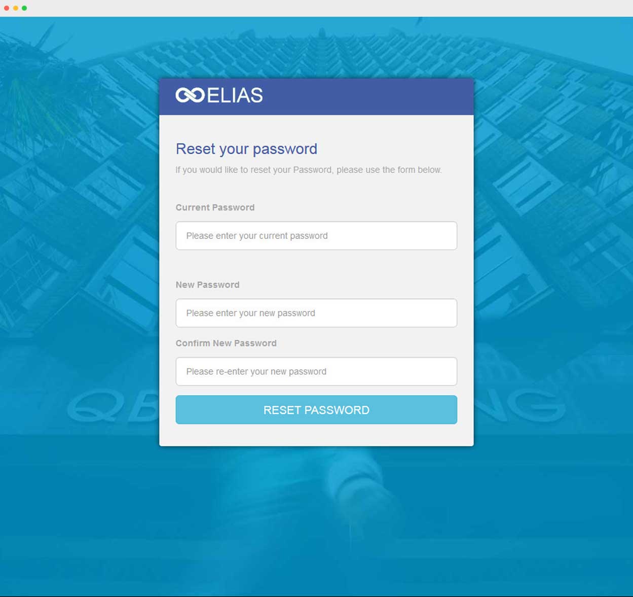 Steve B Graphics Web Design